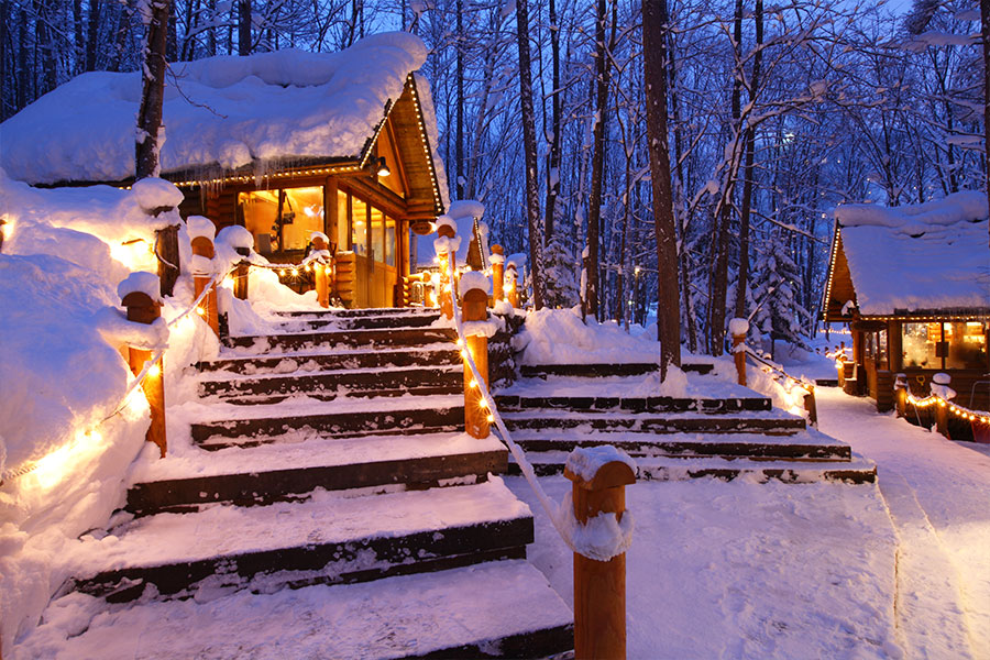 [흰그림자투어] 홋카이도 오리지널 투어 비에이 & 후라노 투어 (스스키노 출발)