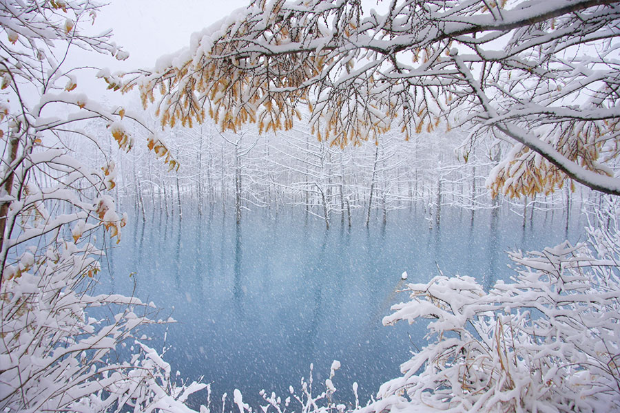 [흰그림자투어] 홋카이도 오리지널 투어 비에이 & 후라노 투어 (스스키노 출발)