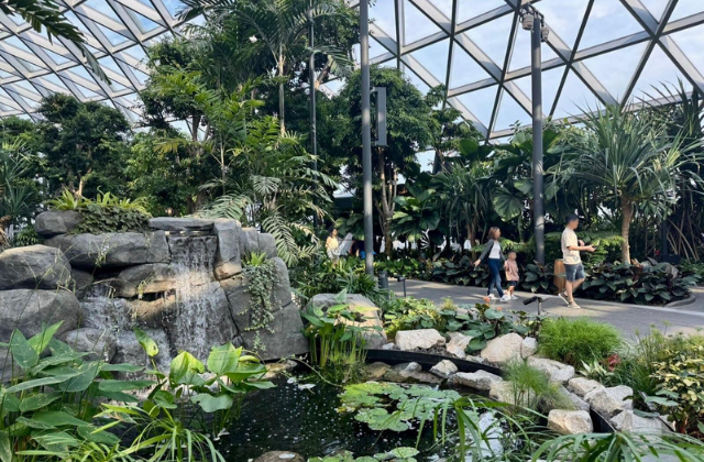 activity_detail_image