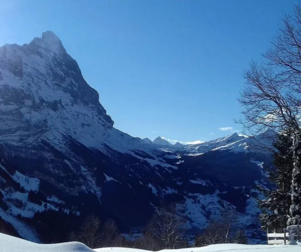 activity_detail_image