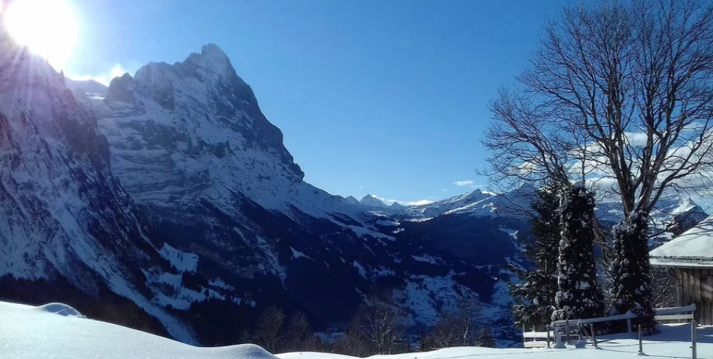 그린델발트 웨터호른 오후 스노슈 설원 트레킹 투어