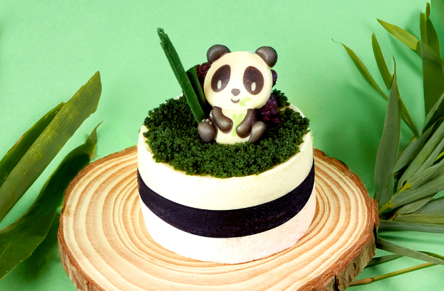 activity_detail_image