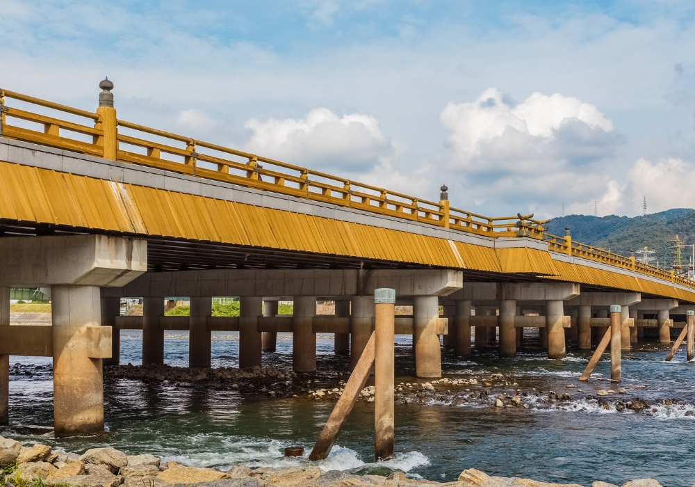 교토 우지 녹차 마을 프라이빗 차량 일일 투어 (픽업 & 샌딩 + 무료 스냅사진 촬영 포함)