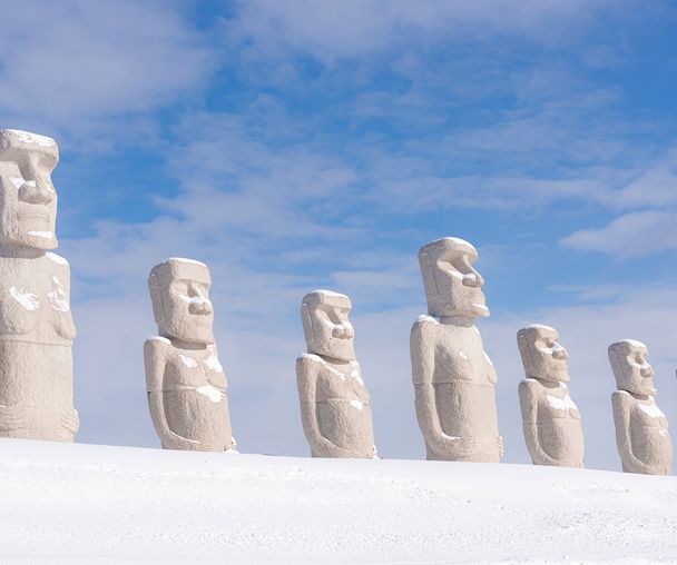 activity_detail_image