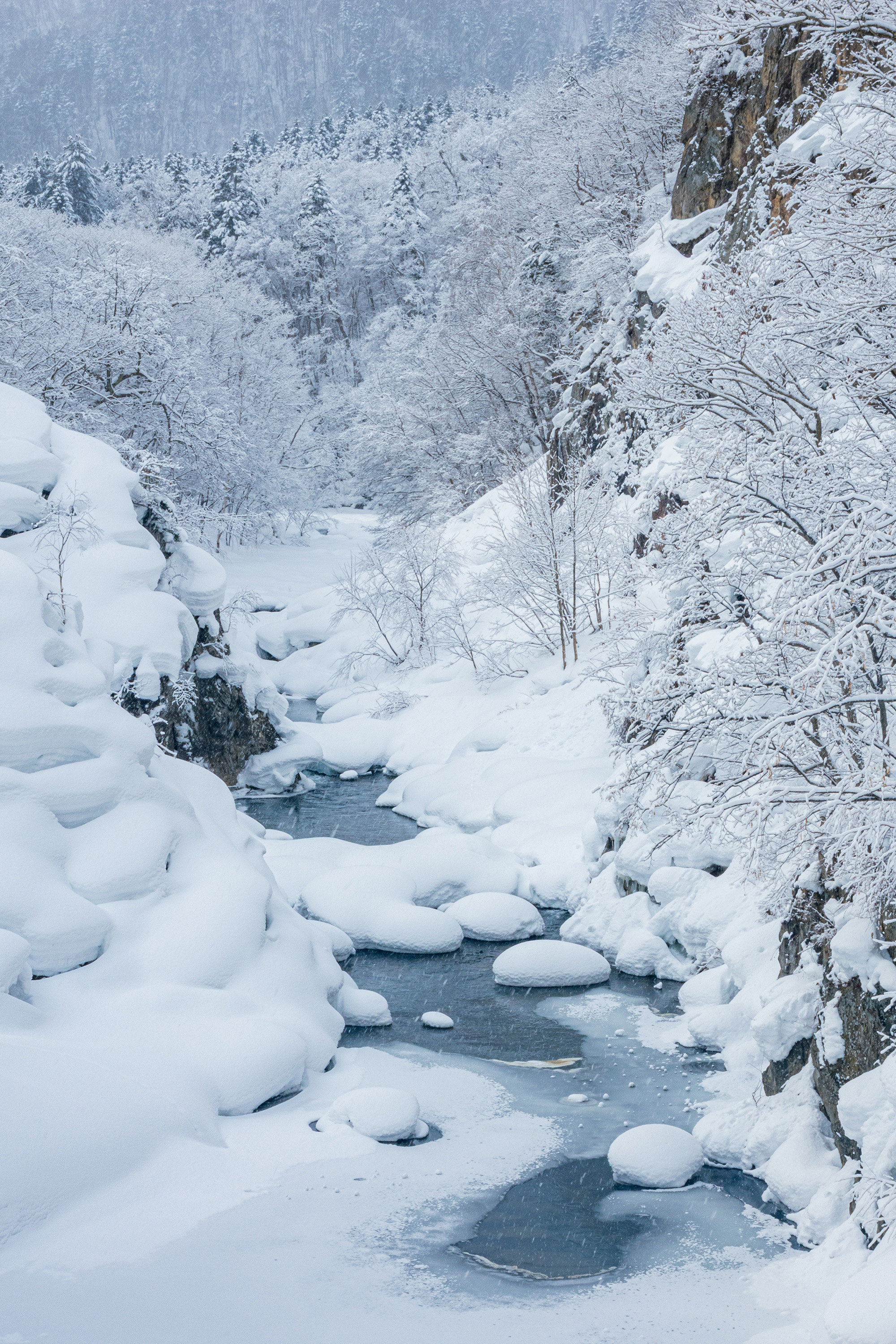[여행한그릇] 삿포로 출발: 부처의언덕 오타루 조잔케이 버스 투어 그리고 무료 사진 촬영