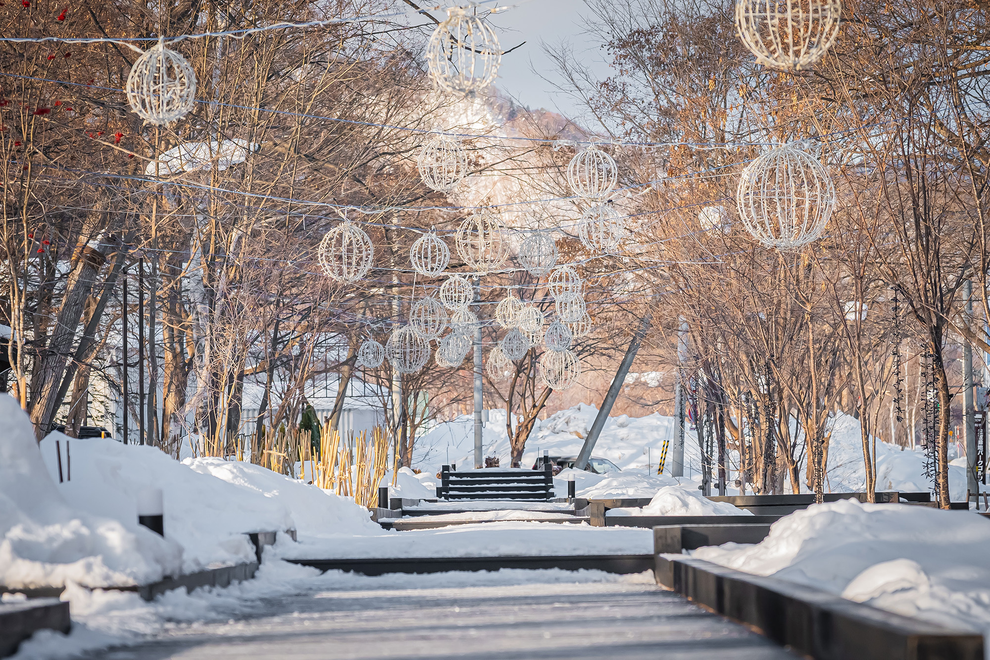 activity_detail_image