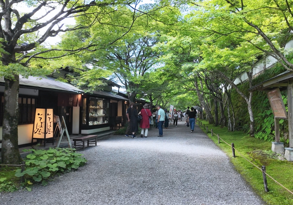 교토 오하라 마을 프라이빗 차량 일일 투어 (픽업 & 샌딩 + 무료 스냅사진 촬영 포함)
