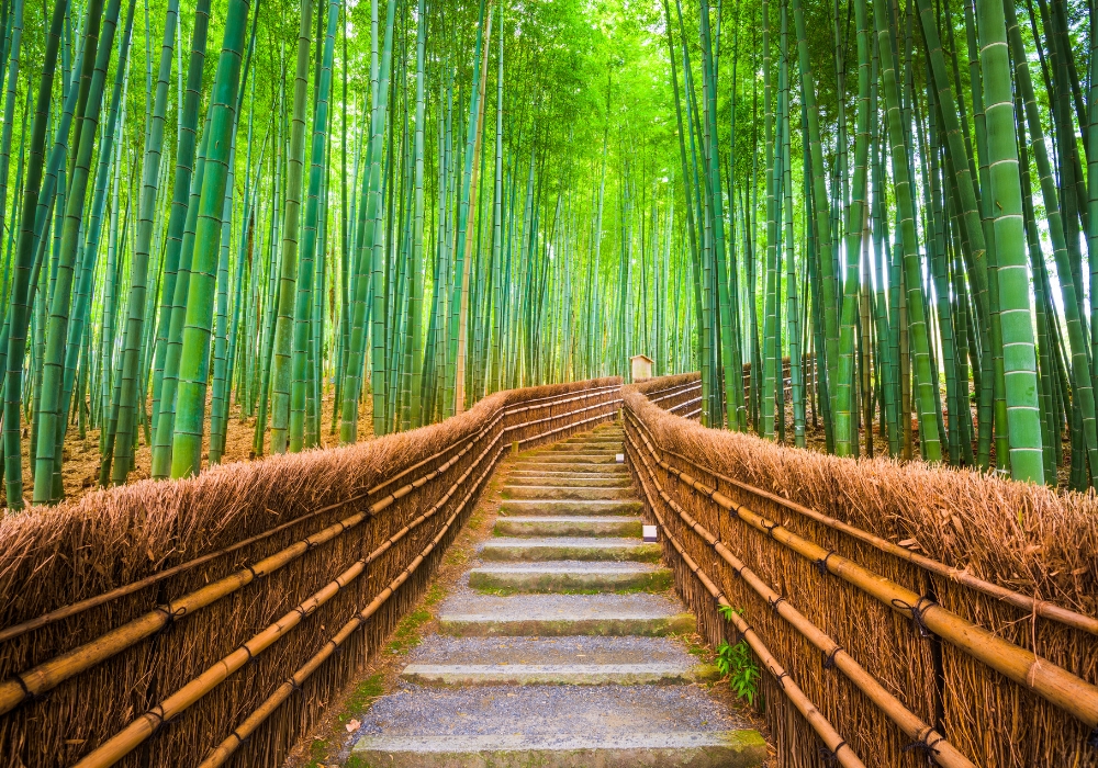 교토 오하라 마을 프라이빗 차량 일일 투어 (픽업 & 샌딩 + 무료 스냅사진 촬영 포함)