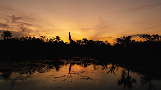 activity_detail_image