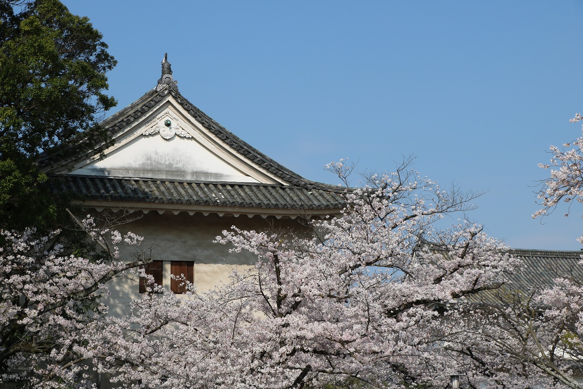 大阪城西の丸庭園 入場チケット