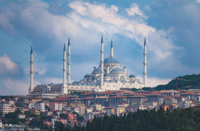 activity_detail_image