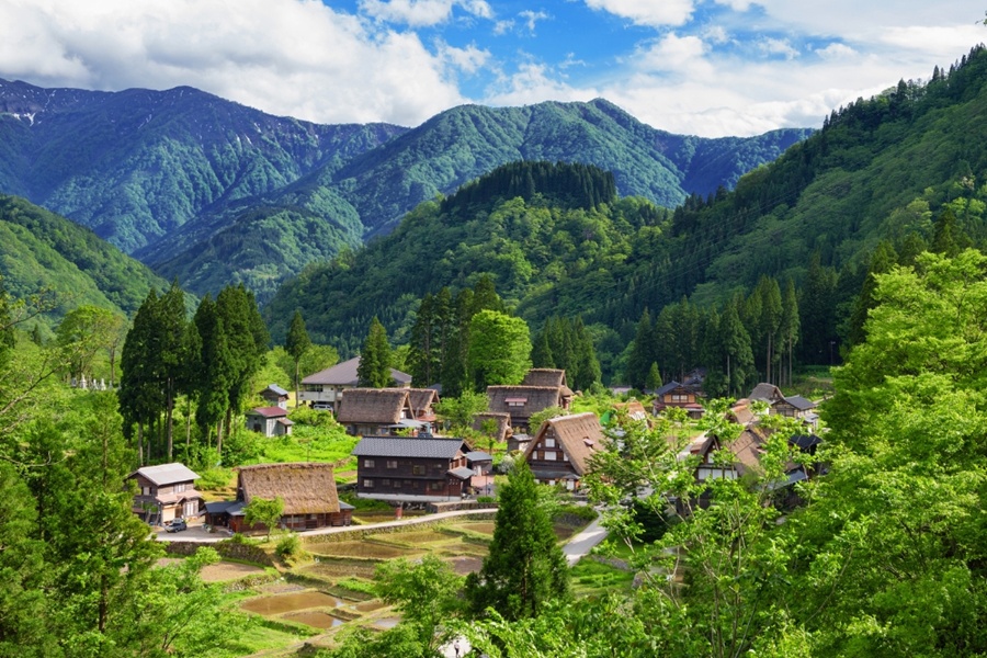 교토 오하라 마을 프라이빗 차량 일일 투어 (픽업 & 샌딩 + 무료 스냅사진 촬영 포함)