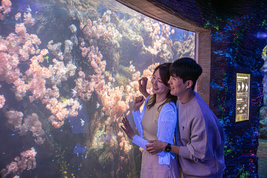 여수 아쿠아플라넷 종합권 (11.01 ~ 11.02)