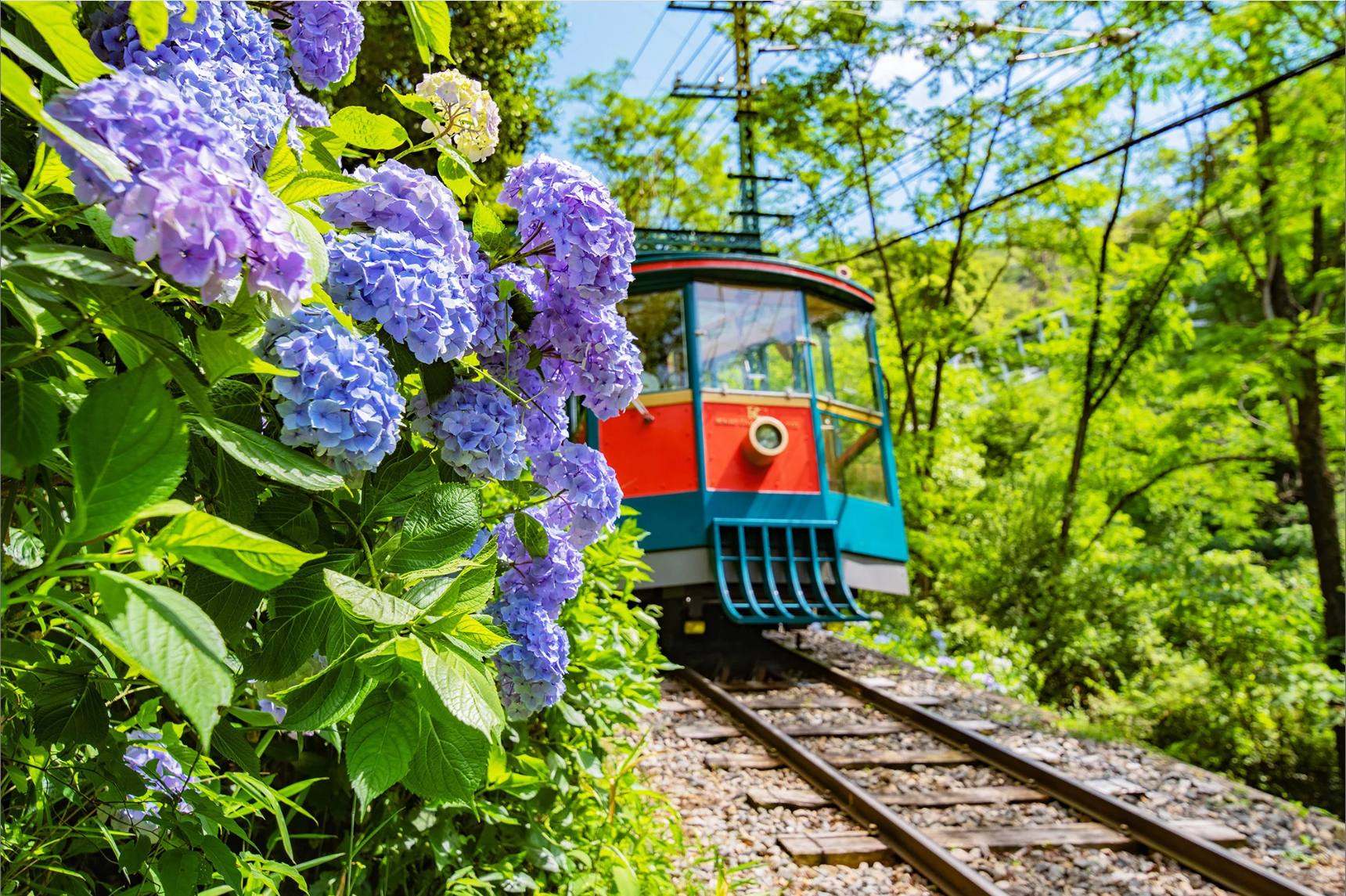 activity_detail_image