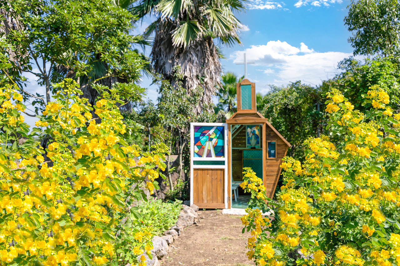 activity_detail_image