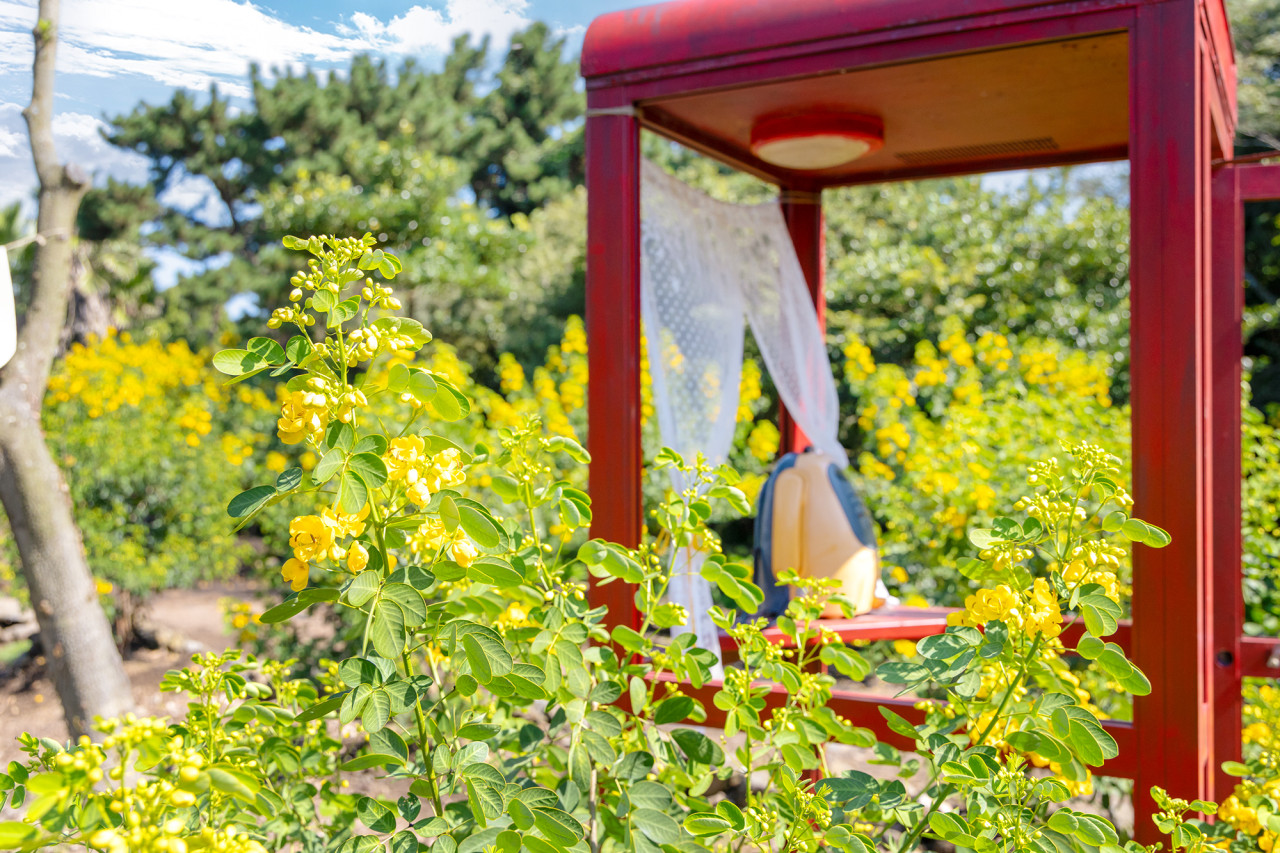 activity_detail_image