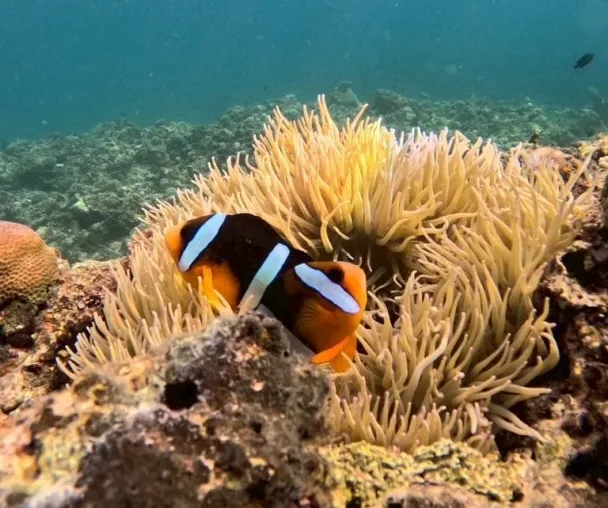 activity_detail_image