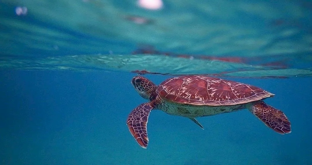 activity_detail_image