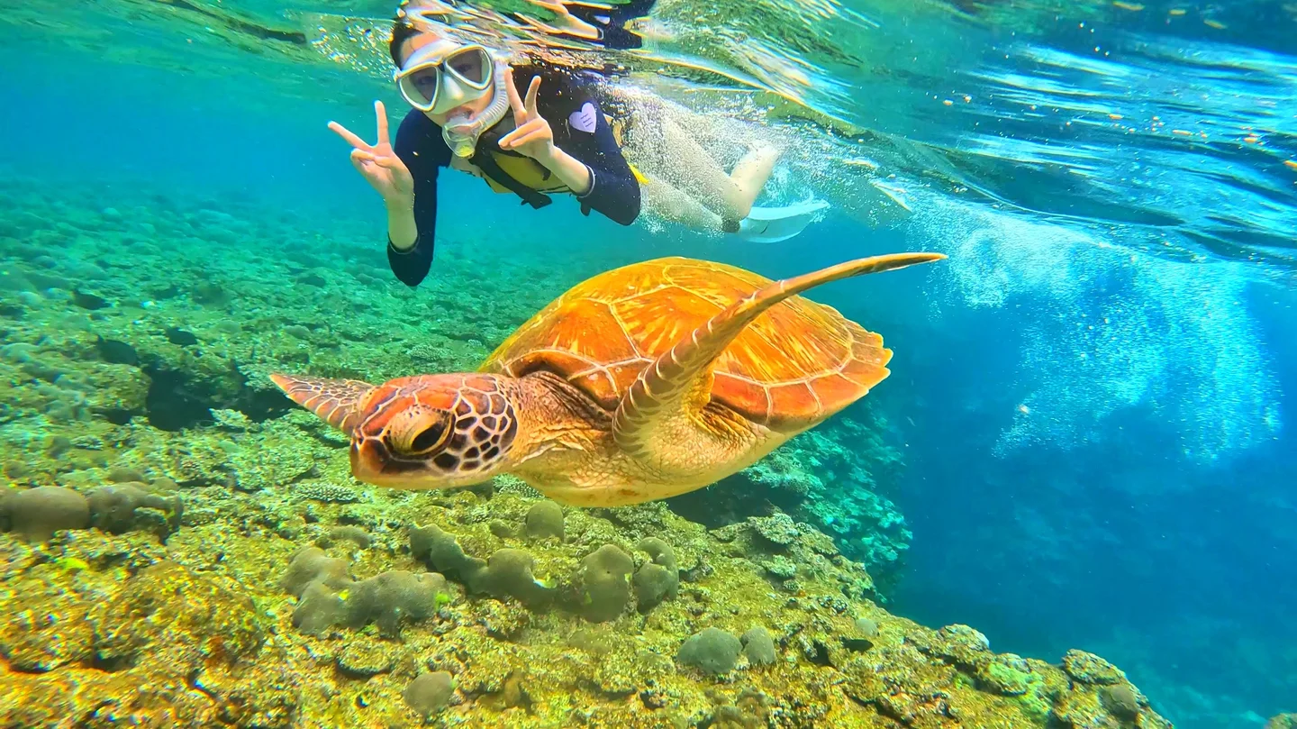 activity_detail_image