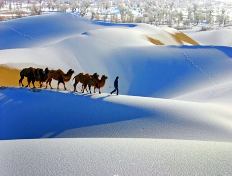 [밝은미래] [6박7일] 겨울 홉스골 투어 (볼강 - 홉스골 - 자르간트 - 미니사막)