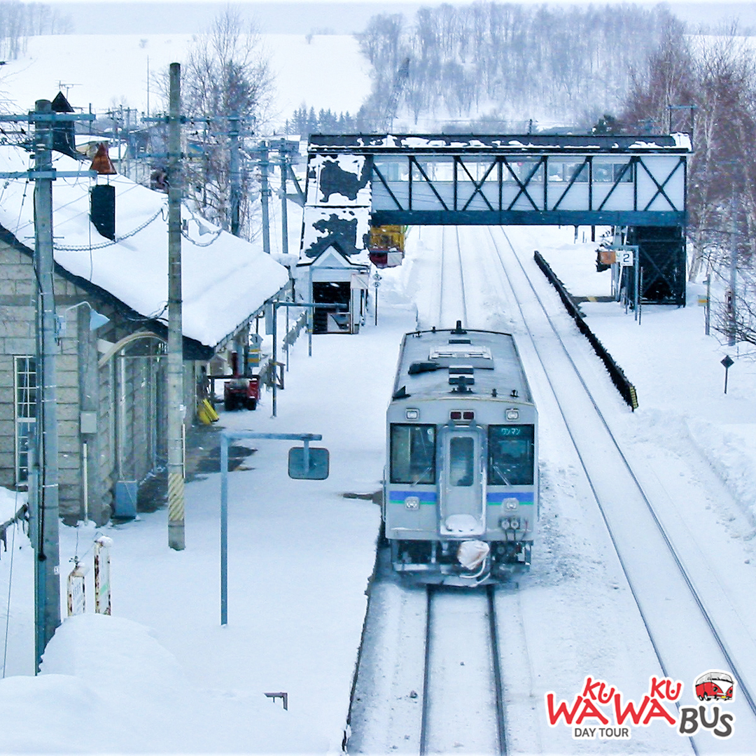 [와쿠와쿠프리미엄] 북해도 비에이 후라노 일일 버스투어 홋카이도 1호선 (29인승 VIP 리무진버스)