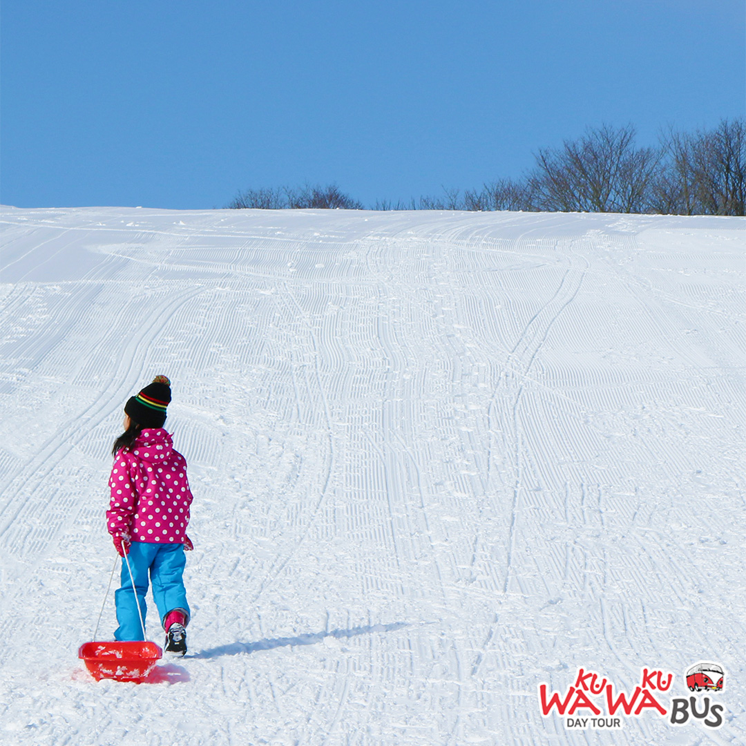 activity_detail_image