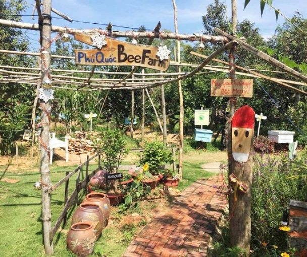 activity_detail_image