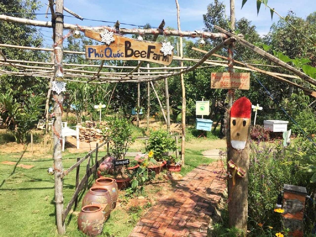 North Phu Quoc Island Nature Exploration & Kayak Adventure Tour (with Local Lunch Included)