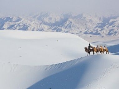 activity_detail_image