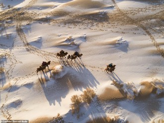 activity_detail_image