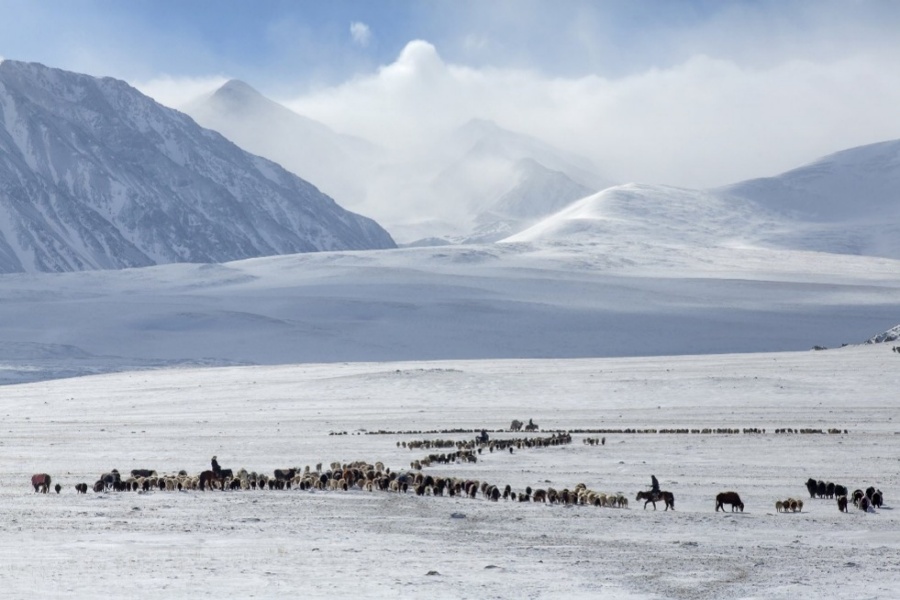 [밝은미래] [4박5일] 몽골 겨울 루프 매일 다른 코스 중부 투어 (미니사막 - 쳉헤르 온천 - 오기호수 - 울란바토르)
