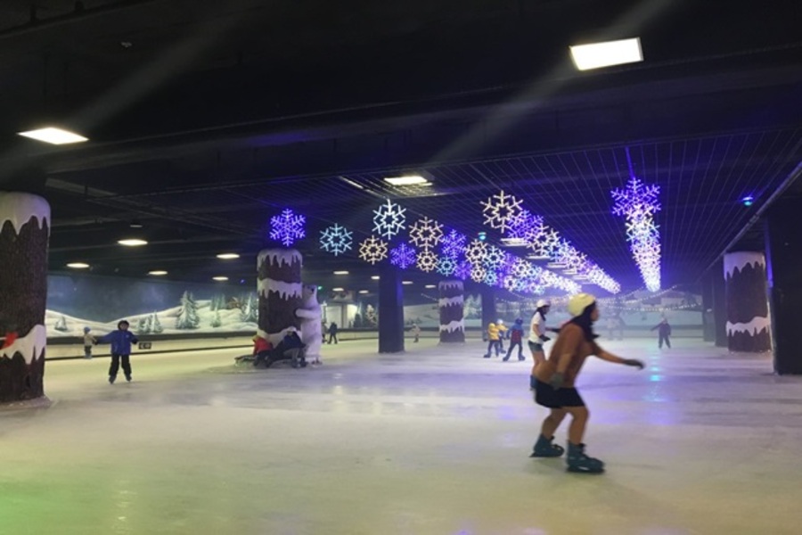 대구 이월드 83타워 아이스링크장 티켓