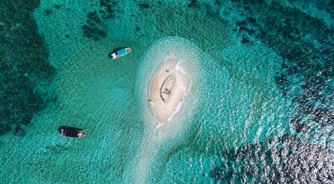 Ishigaki Island Hatoma & Iriomote or Panari & Kuroshima 1-Day Snorkeling Tour (with Drone/GoPro Shooting Included)