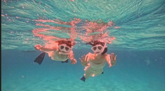 Ishigaki Island Hatoma & Iriomote or Panari & Kuroshima 1-Day Snorkeling Tour (with Drone/GoPro Shooting Included)