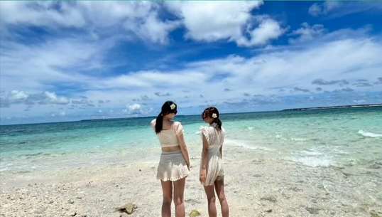 Ishigaki Island Hatoma & Iriomote or Panari & Kuroshima 1-Day Snorkeling Tour (with Drone/GoPro Shooting Included)