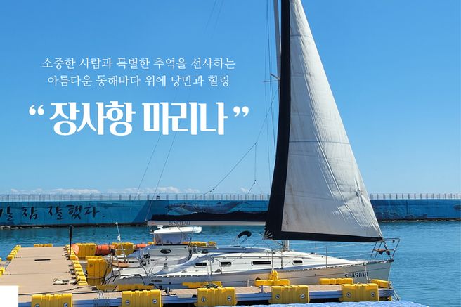 강원 속초 장사항마리나 요트투어