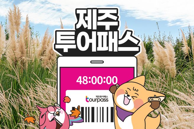 제주투어패스 프리패스 자유이용권