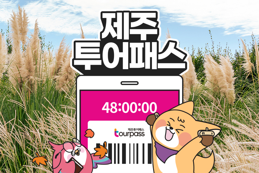 제주투어패스 프리패스 자유이용권