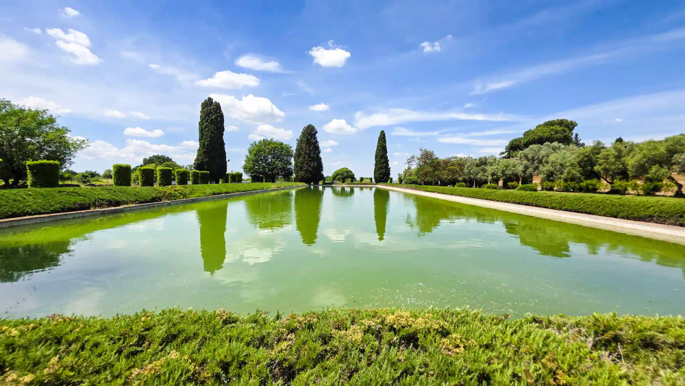 activity_detail_image