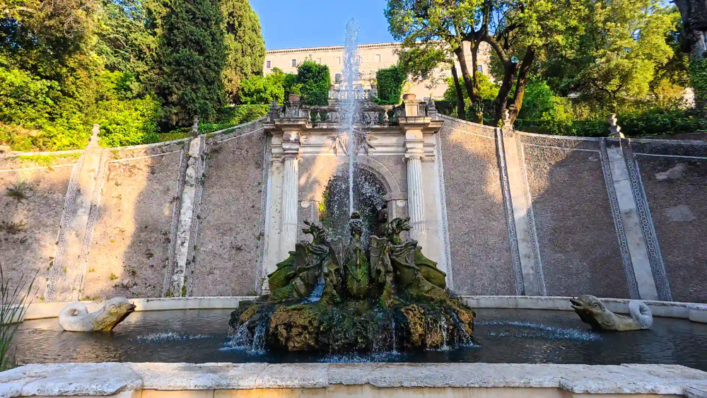 activity_detail_image