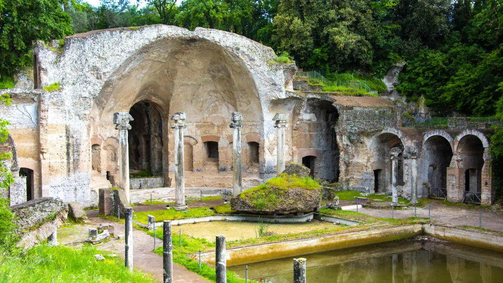 activity_detail_image