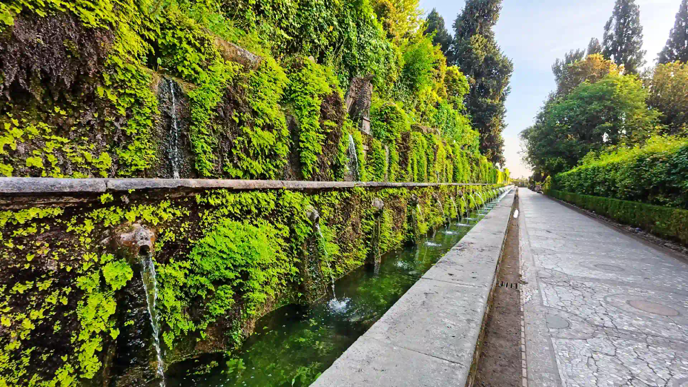 activity_detail_image