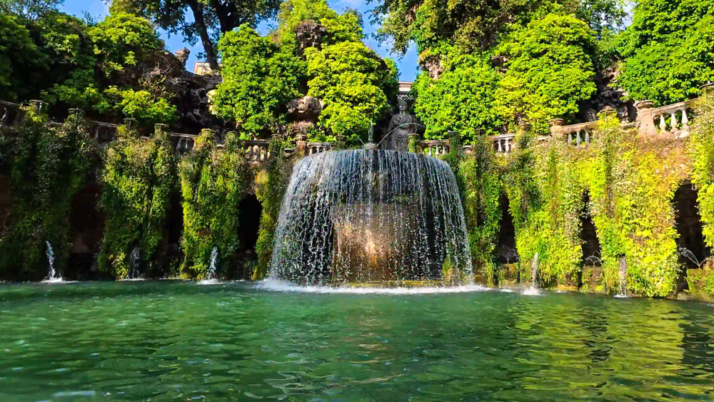 activity_detail_image