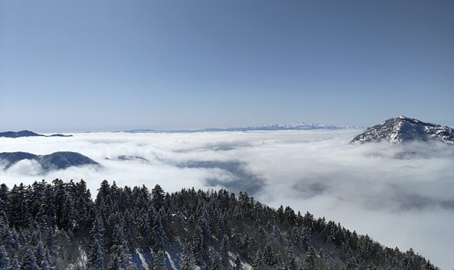 activity_detail_image