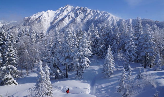 activity_detail_image