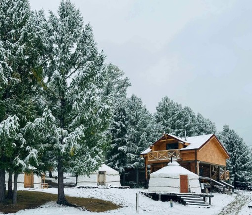 activity_detail_image