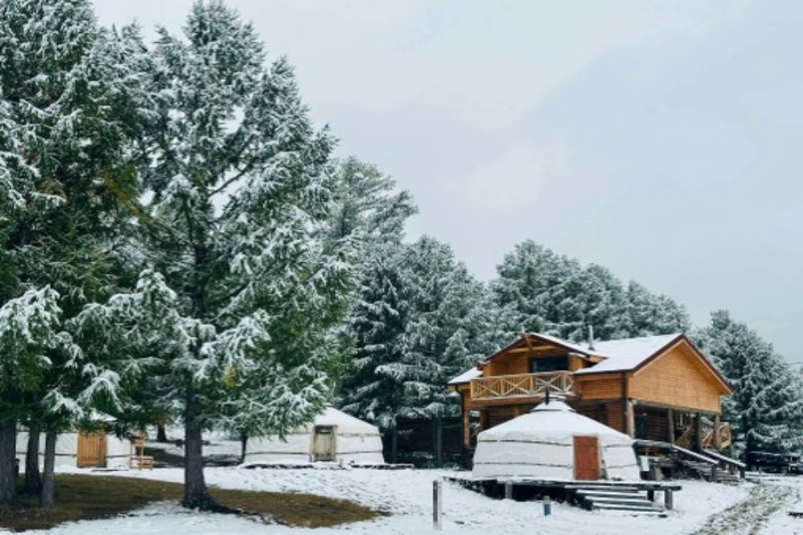 activity_detail_image