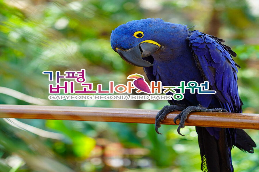 activity_detail_image