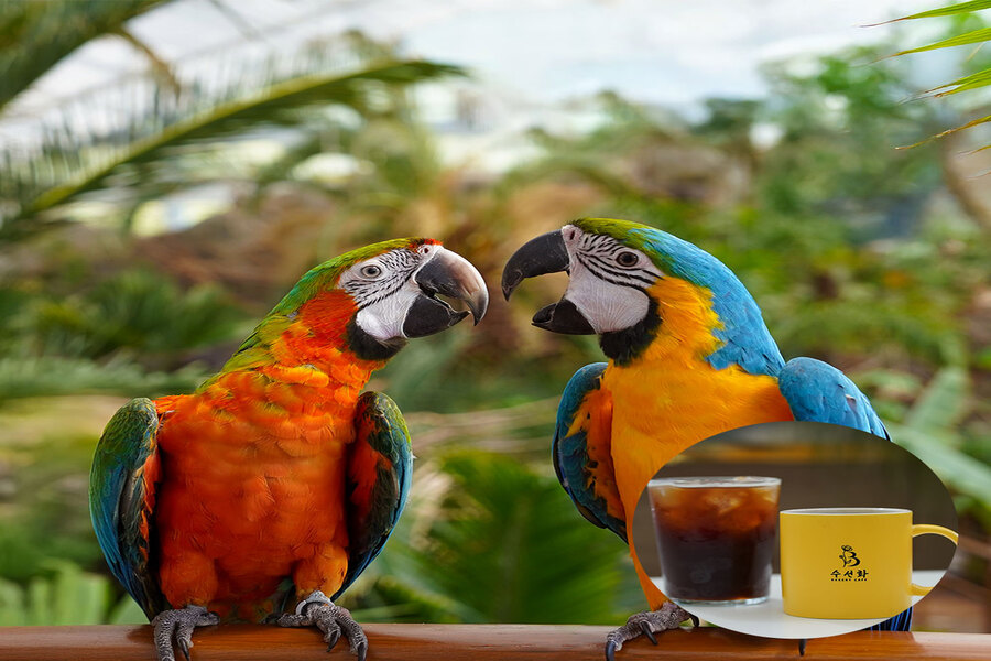 activity_detail_image