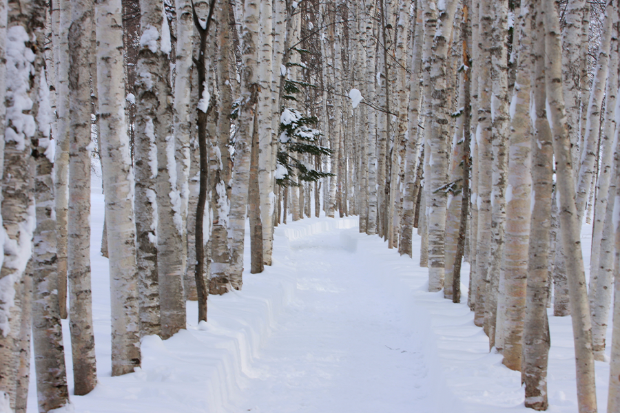 activity_detail_image